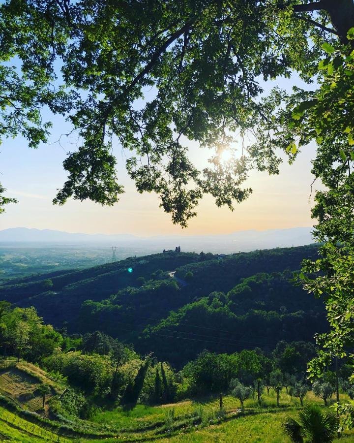 Villa Del Parco In Tuscany San Baronto Extérieur photo